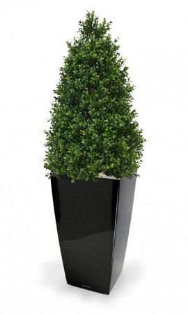Artificial Plants Dubai UV outdoor topiary Boxwood trees