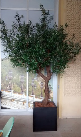 Artificial Trees Plants Dubai, Artificial Olive Trees Dubai UAE Dina Home