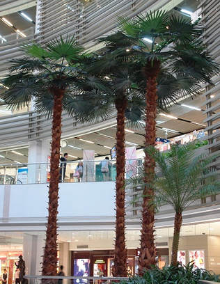Artificial Palm Trees Dubai Abu Dhabi date palm washingtonia