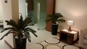 Artificial Plants, Trees, Palms & Planters - Dubai, UAE